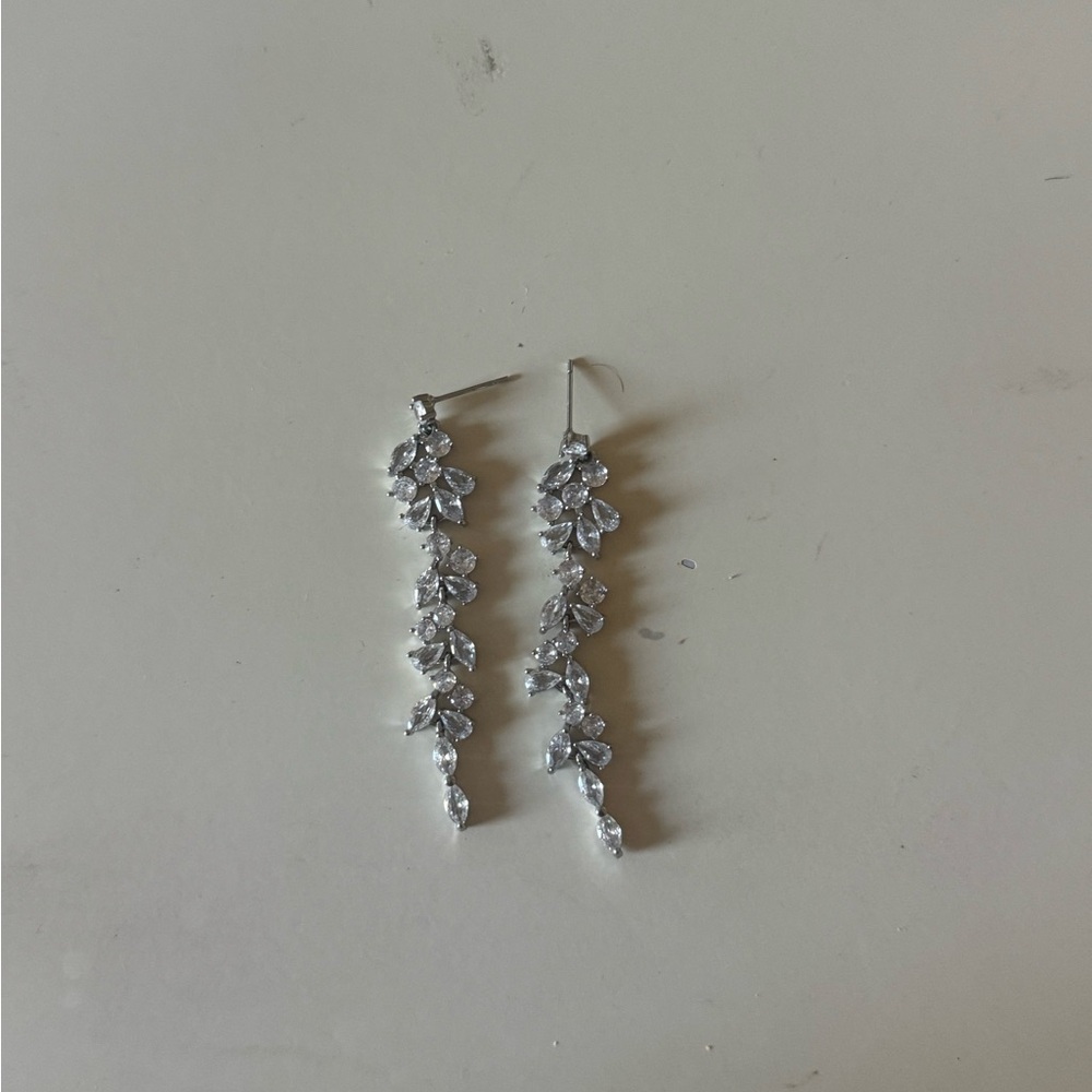 silver dangly earringss